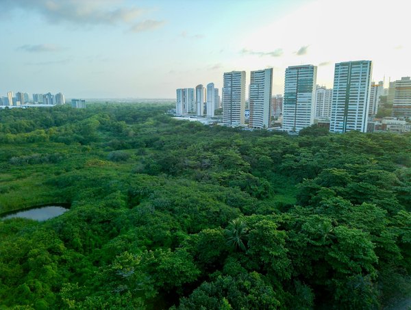 Huile de cbd pour le sommeil : un allié pour mieux dormir