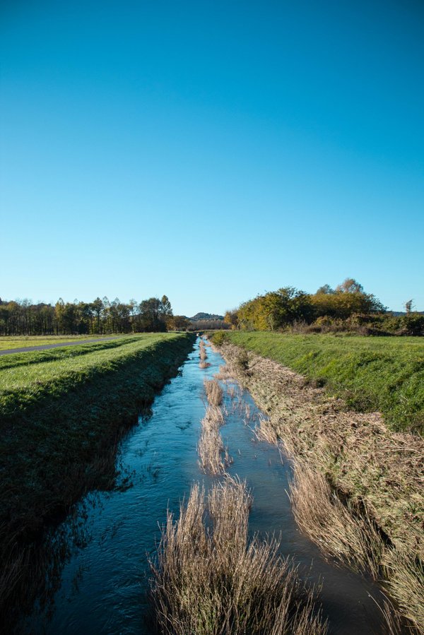 Photo ecologie : transformez votre consommation énergétique !
